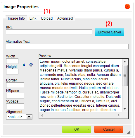 CKEditor Image Dialog.png