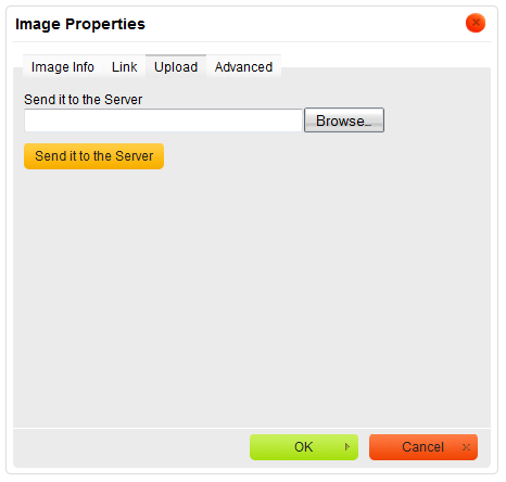 Upload tab of the Image Properties window